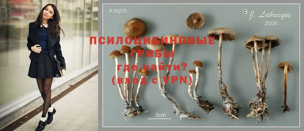бошки Алзамай