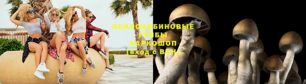 трава Алексин