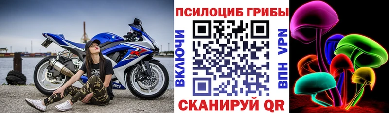 сайты даркнета наркотические препараты Новодвинск Галлюциногенные грибы мухоморы что такое